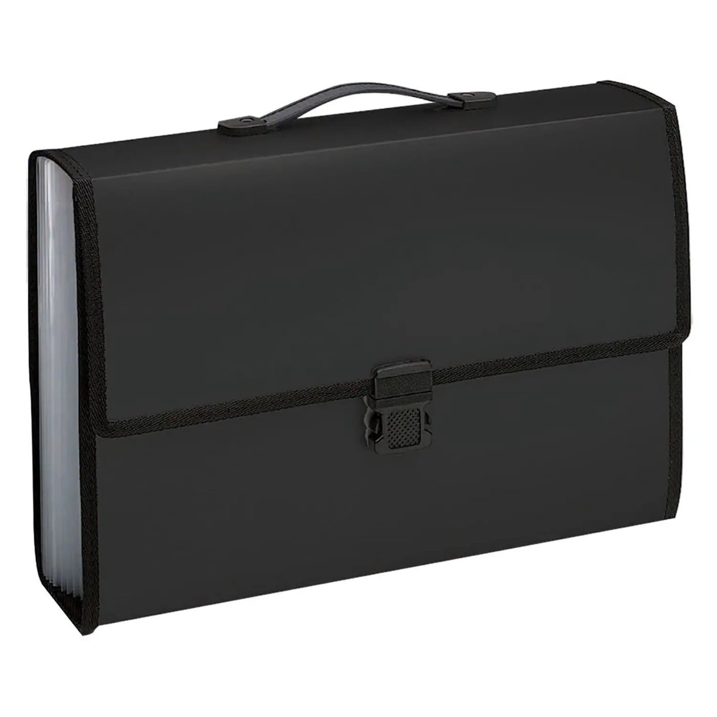 DOCUMENT CARRY CASE LGL