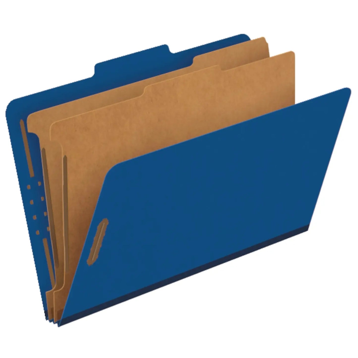 LGL CLASSIFICATION FOLDER BLU