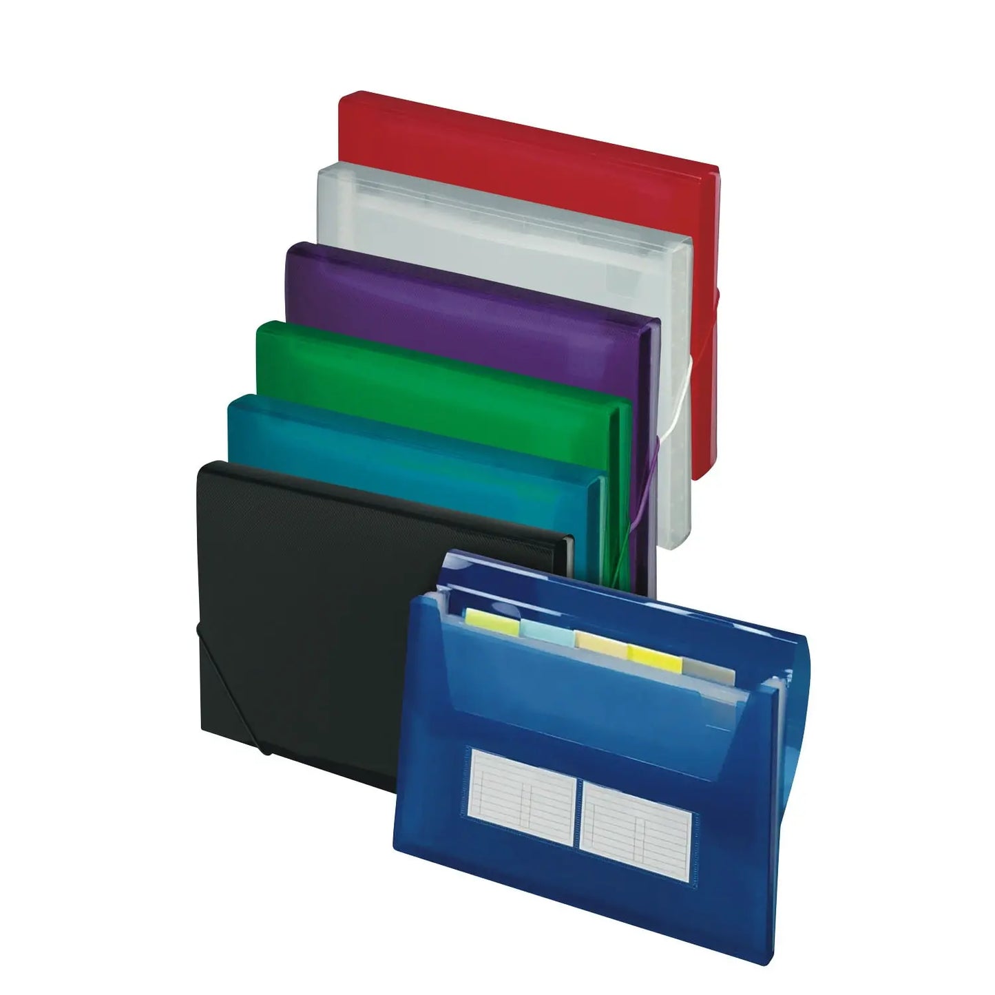 Filexec Campus Letter-Size (8 1/2" x 11") 6-Pocket Poly Storage File