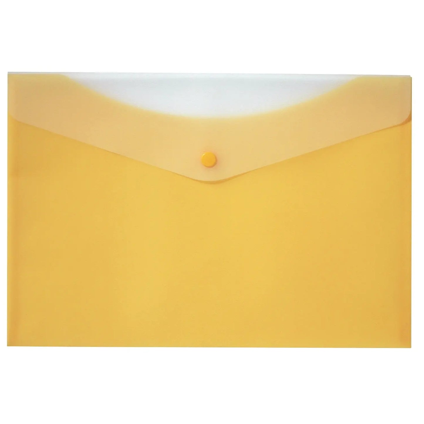 VLB Frosted 2-Pocket Poly Envelope