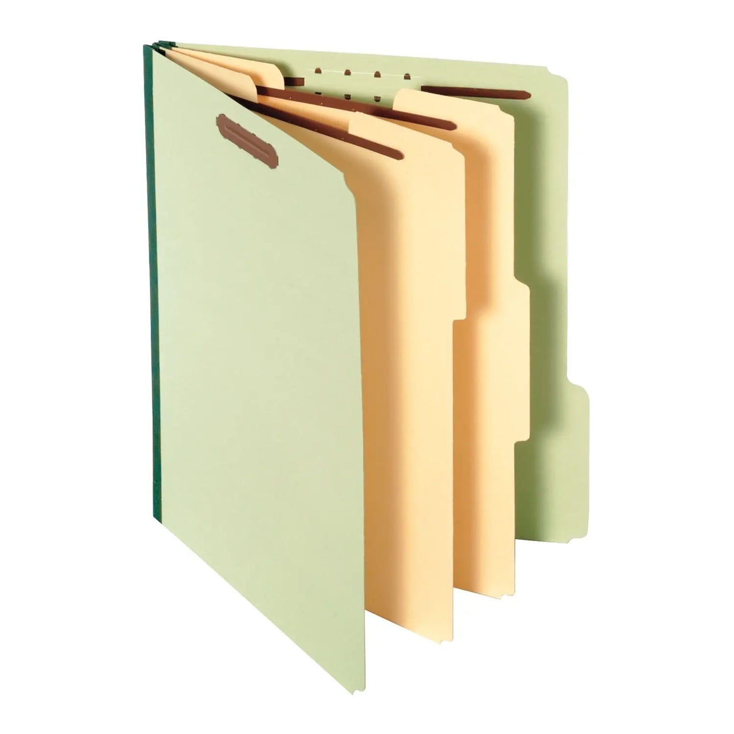 Pendaflex Letter-Size Classification Folder