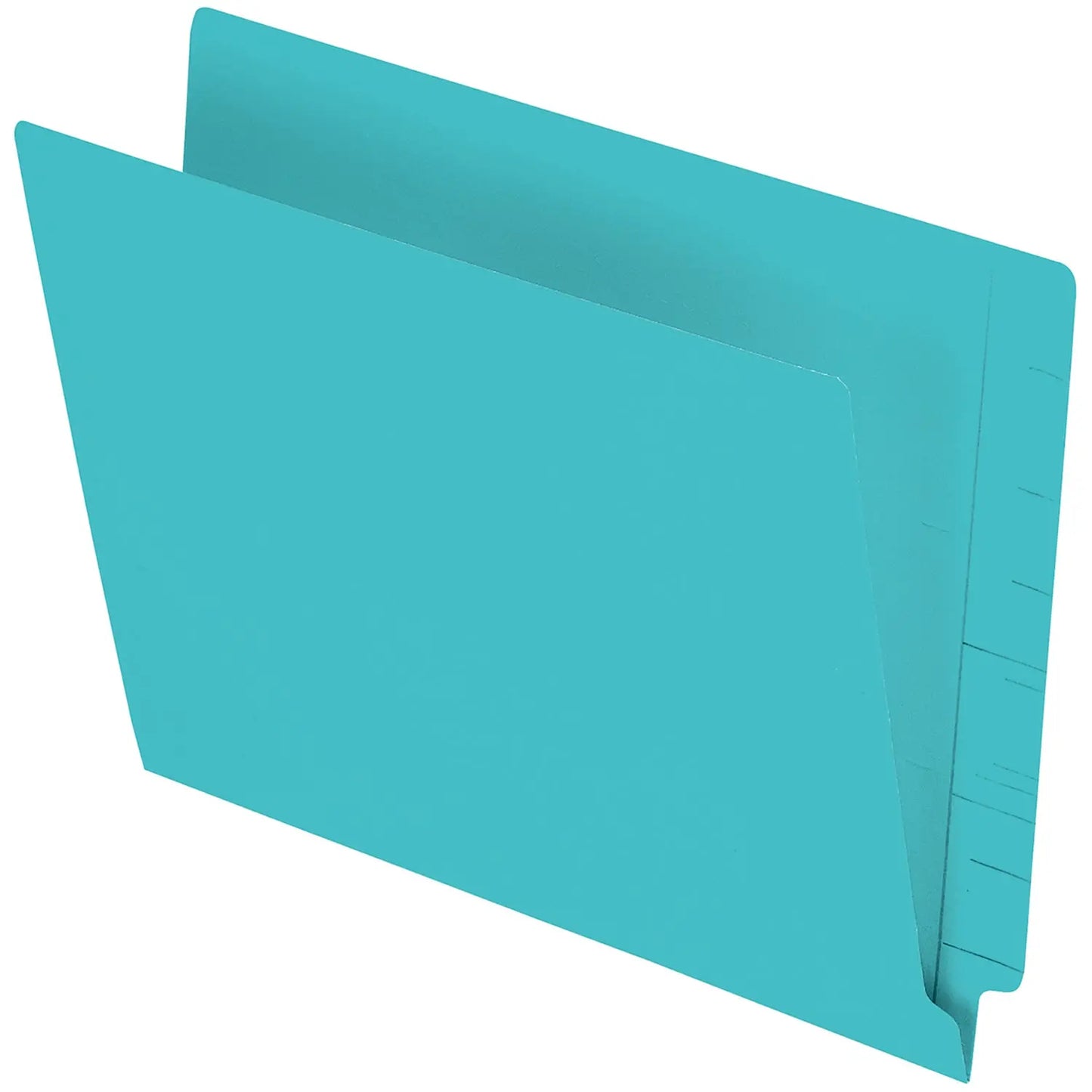 Pendaflex Turquoise Coloured Straight Tab Letter-size (8 1/2" x 11") Shelf File Folders