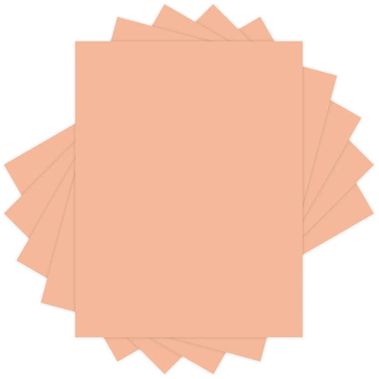 Domtar Lettermark Colors Multi-Purpose Paper, Letter Size (8-1/2" x 11"), 20 lb., Salmon, Pack of 500 Sheets (94318)