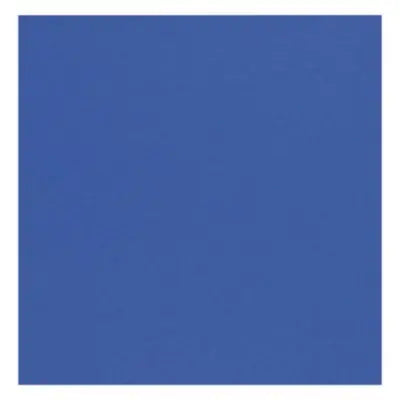 Pacon® 4-Ply Railroad Poster Board, Dark Blue, 22" x 28" (25/PK)