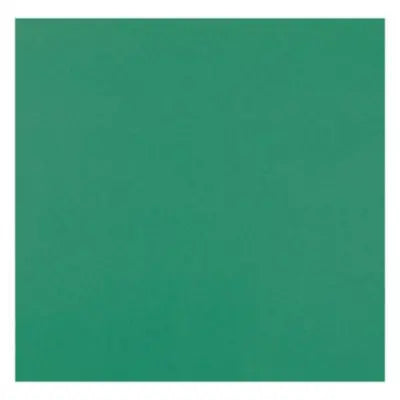 Pacon® 4-Ply Railroad Poster Board, Green, 22" x 28" (25/PK)