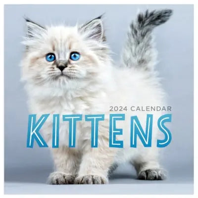 TF Publishing 2024 Kittens Mini Calendar