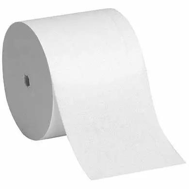 Toilet Tissue 2 Ply #19375 1000 Sheet Coreless GP 36/Case